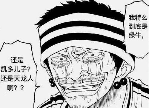 阿金图片,捕捉日常生活的温馨瞬间