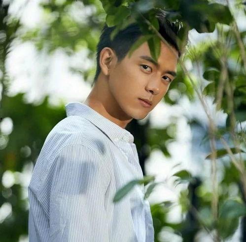 个人资料李现,从青春偶像到实力派演员的蜕变之路